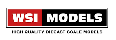 WSI Models